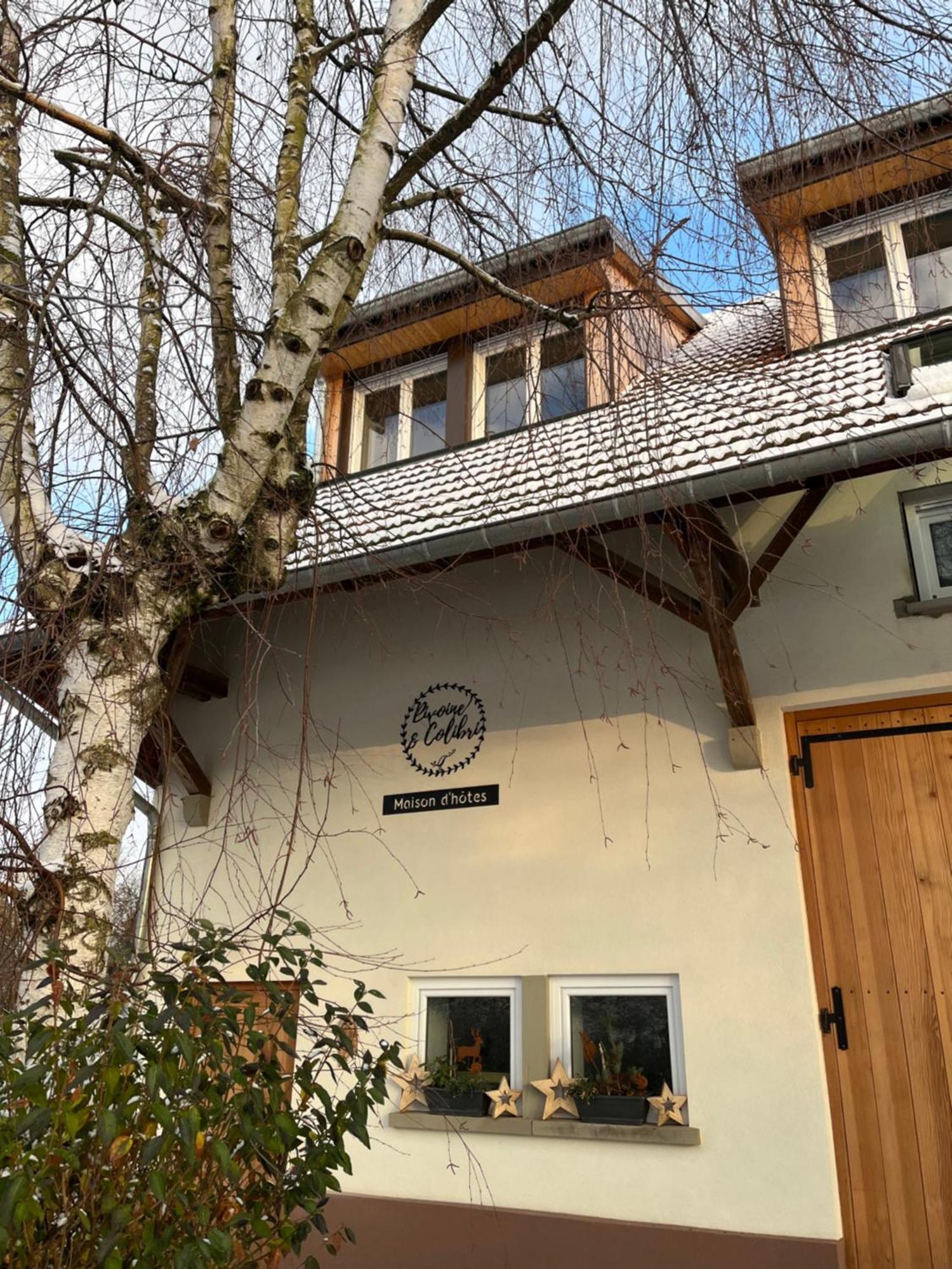 Maison D Hotes Spa Pivoine Et Colibri Domfessel Екстер'єр фото