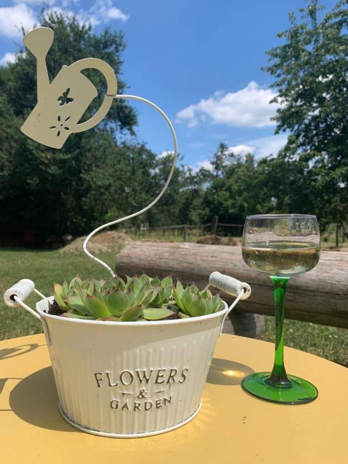 Maison D Hotes Spa Pivoine Et Colibri Domfessel Екстер'єр фото